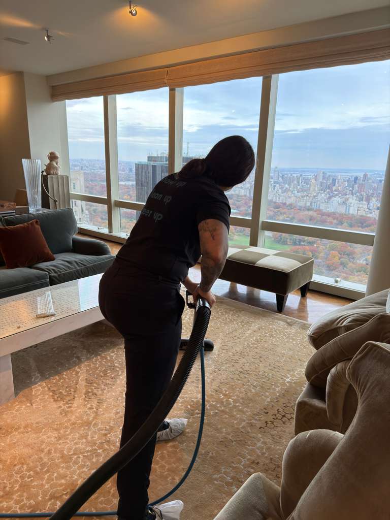 Area Rug Coffee Stain Removal Service for Manhattan Penthouse in Tribeca, NY 4 Tribeca apartment area rug cleaning service